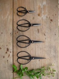 Herb Scissors - Our Kitchen Garden